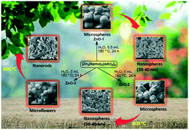 Graphical abstract: Effect of dilution in a hydrothermal process and post-synthetic annealing on the tailoring of hierarchical ZnO nanostructures