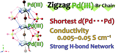 Graphical abstract: Conductive zigzag Pd(iii)–Br chain complex realized by a multiple-hydrogen-bond approach