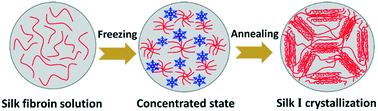 Graphical abstract: Freezing-induced silk I crystallization of silk fibroin
