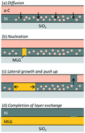 Graphical abstract: Impact of the carbon membrane inserted below Ni in the layer exchange of multilayer graphene