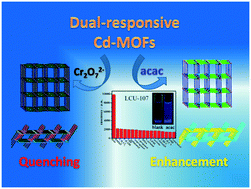 Graphical abstract: Dual-responsive luminescent sensors based on two Cd-MOFs: rare enhancement toward acac and quenching toward Cr2O72−