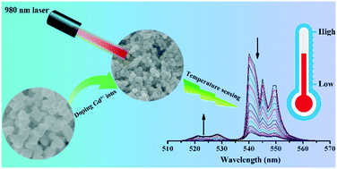 Graphical abstract: Lanthanide-doped bismuth-based fluoride nanoparticles: controlled synthesis and ratiometric temperature sensing