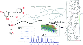 Graphical abstract: Crystal structure determination of an elusive methanol solvate – hydrate of catechin using crystal structure prediction and NMR crystallography