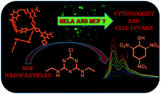 Graphical abstract: Synthesis of fluorescent MOFs: live-cell imaging and sensing of a herbicide