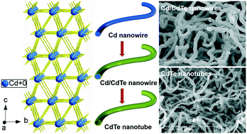 Graphical abstract: Template-free electrochemical synthesis of Cd/CdTe core/shell nanowires and CdTe nanotubes