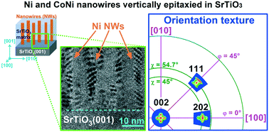 Graphical abstract: Orientation and lattice matching of CoNi nanowires embedded in SrTiO3: unveiling novel strain relaxation mechanisms in vertically aligned nanocomposites