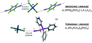 Graphical abstract: Tetrachloroplatinate(ii) anion as a square-planar tecton for crystal engineering involving halogen bonding