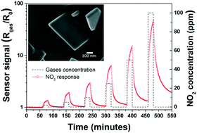 Graphical abstract: Layered α-MoO3 nanoplates for gas sensing applications