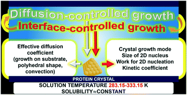 Graphical abstract: Temperature-dependent growth of protein crystals with temperature-independent solubility: case study of apoferritin