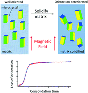 Graphical abstract: Orientation loss of microcrystals of DyBa2Cu3Oy in a polymer composite during curing of the medium under an external magnetic field