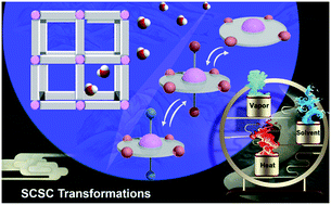 Graphical abstract: The effect of coordinated solvent molecules on metal coordination environments in single-crystal-to-single-crystal transformations