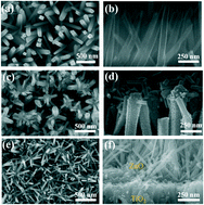 Graphical abstract: Morphology-dependent photocatalytic and gas-sensing functions of three-dimensional TiO2–ZnO nanoarchitectures