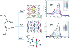Graphical abstract: Synthesis, structure and photocatalytic properties of coordination polymers based on pyrazole carboxylic acid ligands