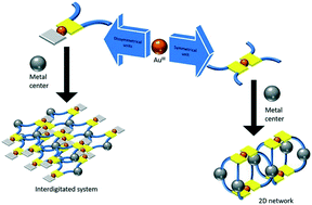 Graphical abstract: Heterometallic coordination polymers based on homo- and heteroleptic Au(iii) dithiolene complexes