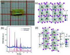Graphical abstract: Properties and growth of large single crystals of one-dimensional organic lead iodine perovskite