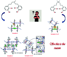 Graphical abstract: Methylene spacer regulated variation in supramolecular assembly of zinc(ii) dicyanamide complexes with reduced Schiff base ligands: synthesis, structure and DFT study
