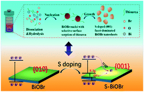Graphical abstract: Oriented construction of S-doped, exposed {001} facet BiOBr nanosheets with abundant oxygen vacancies and promoted visible-light-driven photocatalytic performance