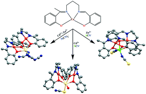 Graphical abstract: Recurrent π(arene)⋯π(chelate ring) motifs in four trinuclear CuII2MII (M = Cd/Zn) complexes derived from an unsymmetrical N2O2 donor ligand: structural and theoretical investigations