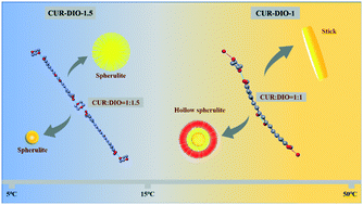 Graphical abstract: The formation mechanism of hollow spherulites and molecular conformation of curcumin and solvate