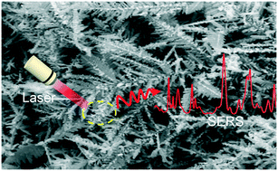 Graphical abstract: Electrochemical growth of dendritic silver nanostructures as facile SERS substrates