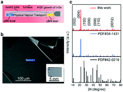 Graphical abstract: ε-InSe single crystals grown by a horizontal gradient freeze method