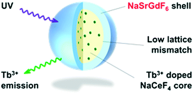 Graphical abstract: nanocrystals (0 ≤ x ≤ 1): growth, size control and shell formation on β-NaCeF4:Tb core particles
