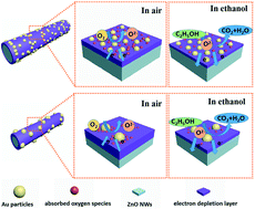 Graphical abstract: Design of size-controlled Au nanoparticles loaded on the surface of ZnO for ethanol detection