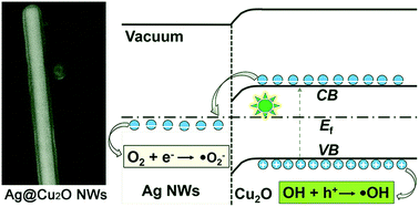 Graphical abstract: Rapid fabrication of silver–cuprous oxide core–shell nanowires for visible light photocatalysts
