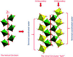 Graphical abstract: A nonlinear optical cadmium(ii)-based metal–organic framework with chiral helical chains derived from an achiral bent dicarboxylate ligand
