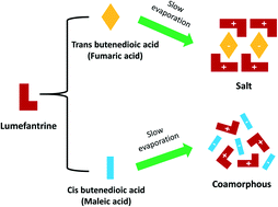 Graphical abstract: The effects of cis and trans butenedioic acid on the physicochemical behavior of lumefantrine