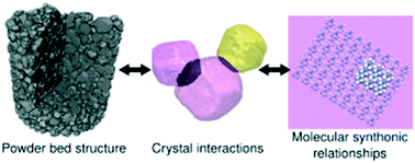 Graphical abstract: Crystallographic tomography and molecular modelling of structured organic polycrystalline powders