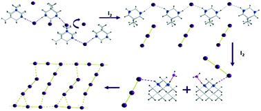 Graphical abstract: Synthesis and supramolecular organization of the iodide and triiodides of a polycyclic adamantane-based diammonium cation: the effects of hydrogen bonds and weak I⋯I interactions