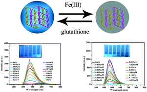 Graphical abstract: A water-stable zinc(ii)–organic framework as an “on–off–on” fluorescent sensor for detection of Fe3+ and reduced glutathione