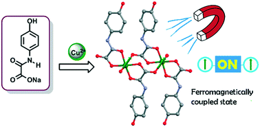 Graphical abstract: Ferromagnetic coupling in a dicopper(ii) oxamate complex bridged by carboxylate groups