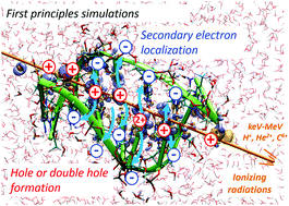 Graphical abstract: The physical stage of radiolysis of solvated DNA by high-energy-transfer particles: insights from new first principles simulations
