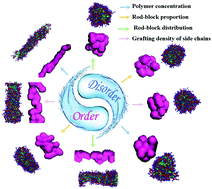Graphical abstract: The self-assembly behavior of polymer brushes induced by the orientational ordering of rod backbones: a dissipative particle dynamics study