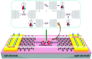 Graphical abstract: A molecular device providing a remarkable spin filtering effect due to the central molecular stretch caused by lateral zigzag graphene nanoribbon electrodes