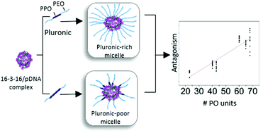 Graphical abstract: Mixing behaviour of Pluronics with gemini surfactant/plasmid DNA condensates: effect of Pluronic composition