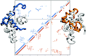 Graphical abstract: Competitive binding of HIF-1α and CITED2 to the TAZ1 domain of CBP from molecular simulations
