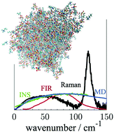 Graphical abstract: An inelastic neutron scattering, Raman, far-infrared, and molecular dynamics study of the intermolecular dynamics of two ionic liquids