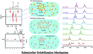 Graphical abstract: Different submicellar solubilization mechanisms revealed by 1H NMR and 2D diffusion ordered spectroscopy (DOSY)
