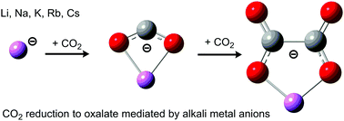 Graphical abstract: Characterization of the alkali metal oxalates (MC2O4−) and their formation by CO2 reduction via the alkali metal carbonites (MCO2−)