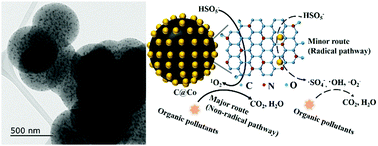 Graphical abstract: Co nanoparticle-embedded N,O-codoped porous carbon nanospheres as an efficient peroxymonosulfate activator: singlet oxygen dominated catalytic degradation of organic pollutants