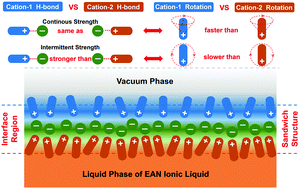 Graphical abstract: Molecular-level insights into the structures, dynamics, and hydrogen bonds of ethylammonium nitrate protic ionic liquid at the liquid–vacuum interface