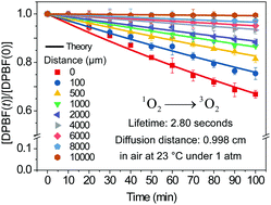 Graphical abstract: Lifetime and diffusion distance of singlet oxygen in air under everyday atmospheric conditions