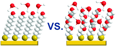 Graphical abstract: Interaction of water with oligo(ethylene glycol) terminated monolayers: wetting versus hydration