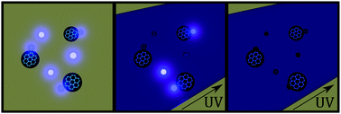 Graphical abstract: UV photobleaching of carbon nanodots investigated by in situ optical methods