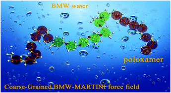 Graphical abstract: The coarse-grained models of poly(ethylene oxide) and poly(propylene oxide) homopolymers and poloxamers in big multipole water (BMW) and MARTINI frameworks