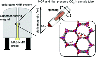 Graphical abstract: Probing dynamics of carbon dioxide in a metal–organic framework under high pressure by high-resolution solid-state NMR