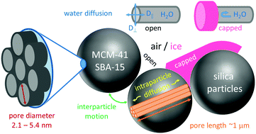 Graphical abstract: Static field gradient NMR studies of water diffusion in mesoporous silica